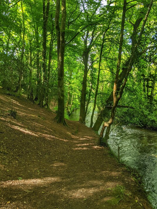 River Camel at Dunmere