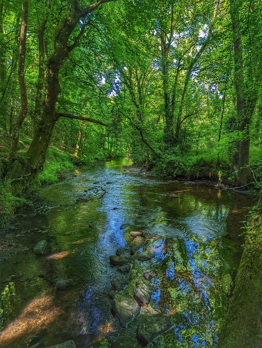 River Camel at Dunmere