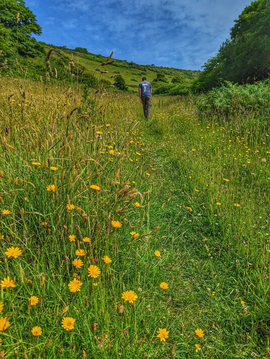 Footpath at East Coombe