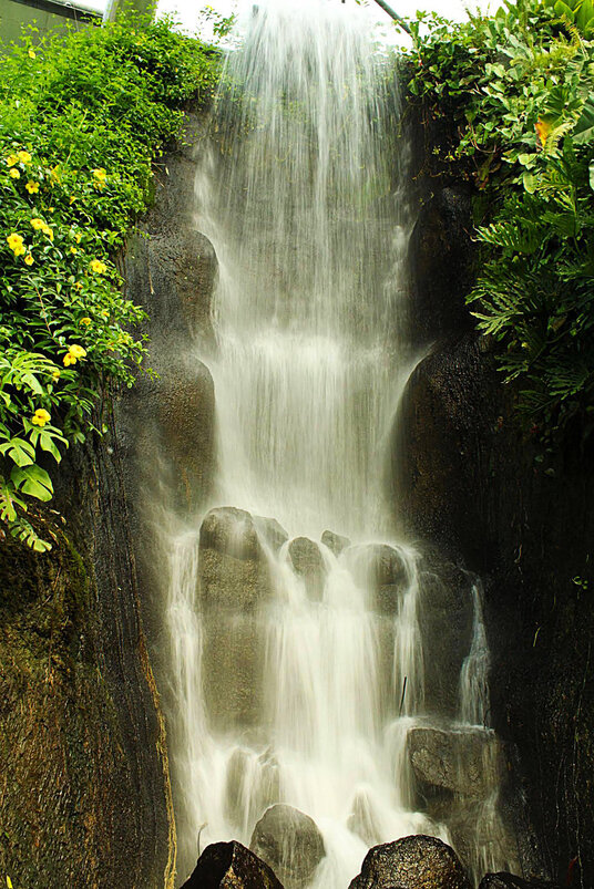 Waterfall in the Rainforest Biome