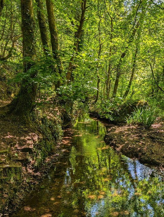 Stream near Enys