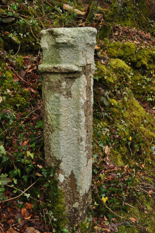 Mediaeval column in Ethy Wood