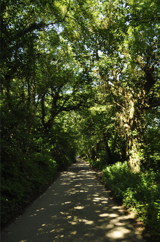 Lane from Fairy Cross