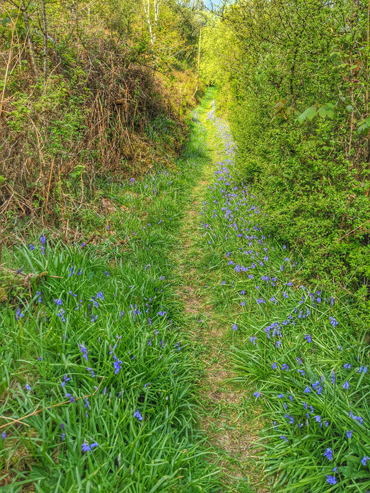 Path to Fentafriddle