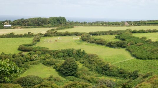 View over Trebarwith Valley from Fentafriddle