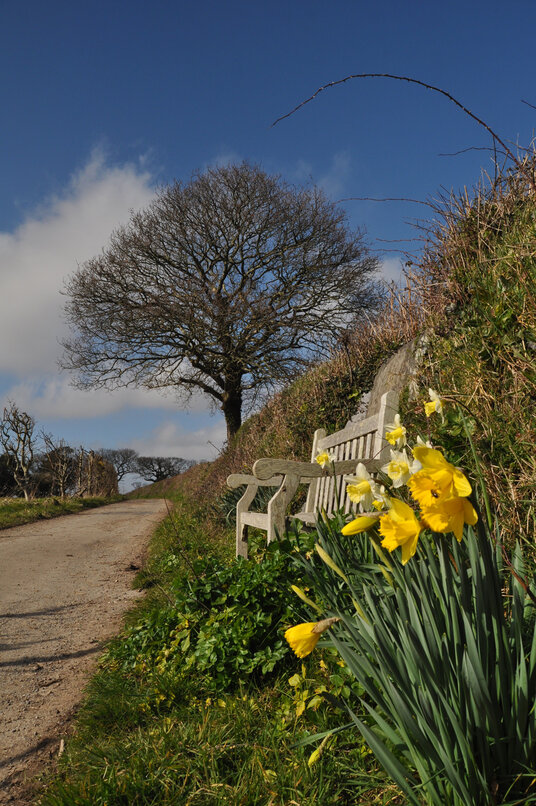 Track towards Devoran