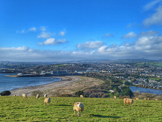The fields on the return to Par