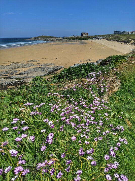 Fistral Beach