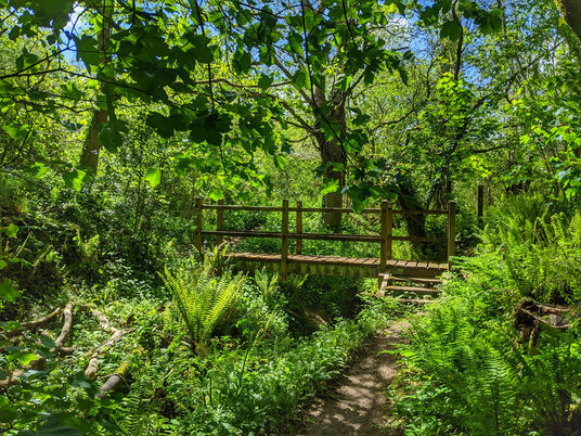 Footbridge near Crafthole