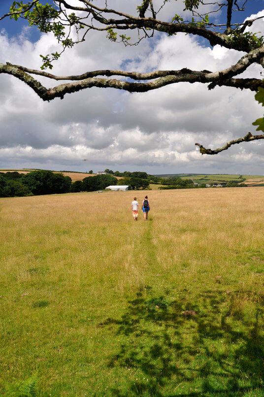 Footpath from Retire to Withiel