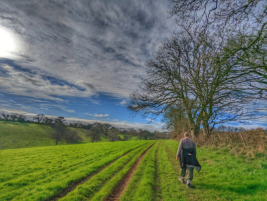 Footpath near Penwarne