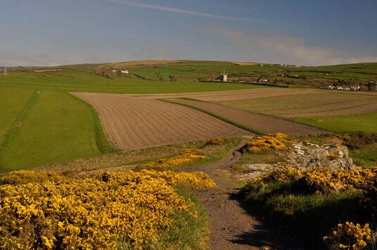 The mediaeval field system at Forrabury Stitches