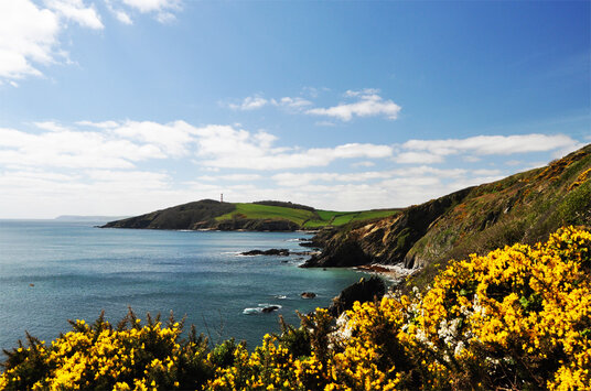 Coastline between Fowey and Gribbin Head