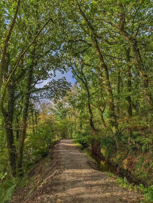 Path along the Fowey Consols Leat