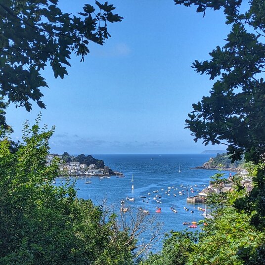 View over the Fowey Estuary