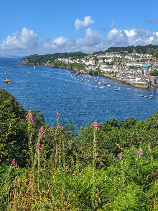 View over the Fowey Estuary