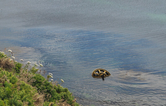 Shipwreck near Polridmouth