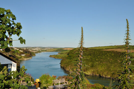 View from Fern Pit Café