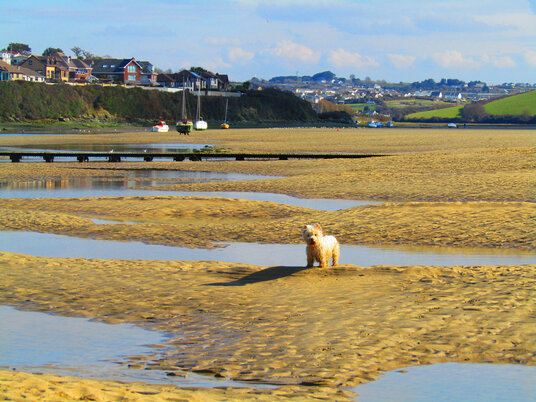 The Gannel Estuary