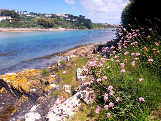 Thrift beside the Gannel