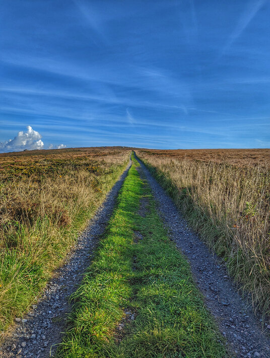 Track to Garden Mine