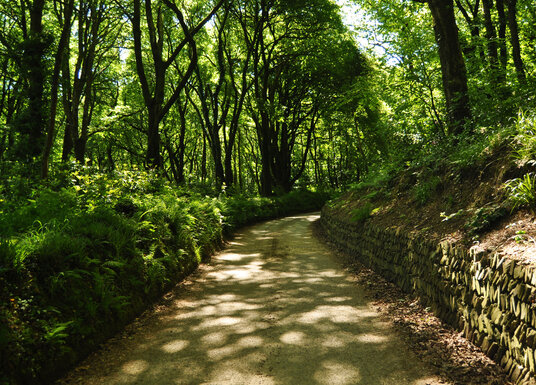 Driveway to Garlenick