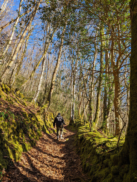 Path along the Giant's Hedge