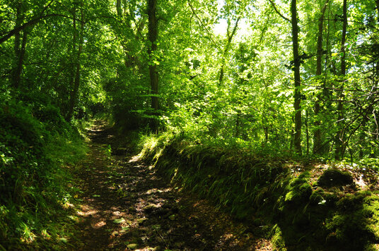 Bridleway from Gillan Cove