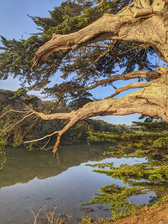 View of Gillan Creek