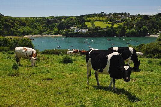Gillan Creek from Dennis Head