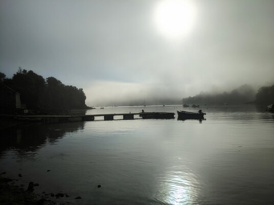 Gillan Creek in the mist