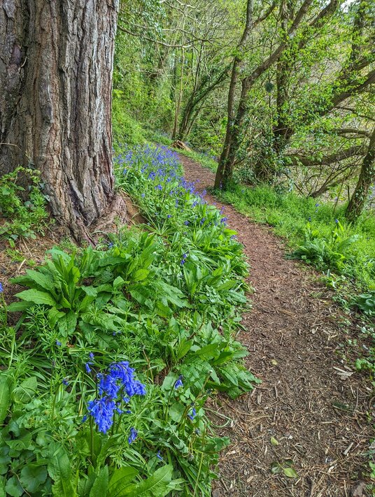 Path along Gillan Creek