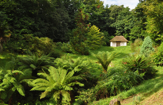 Glendurgan Gardens