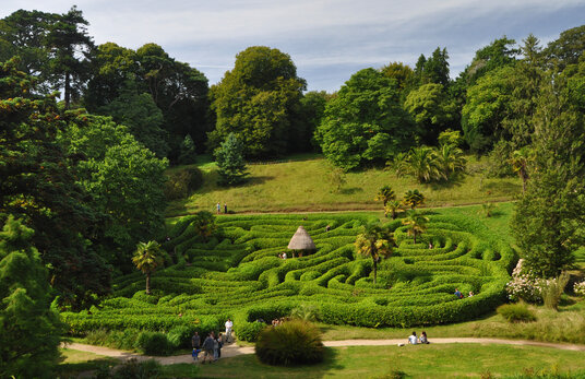 The Maze