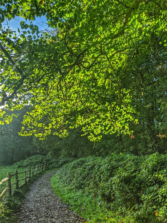 Path to Goldophin House