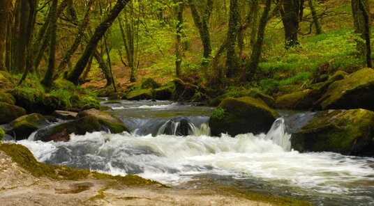 Golitha Falls
