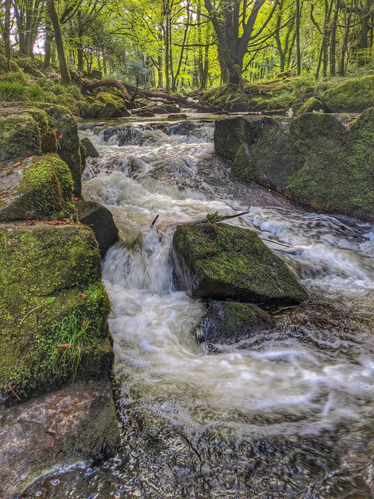 Golitha Falls