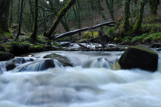 Golitha Falls