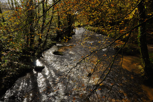 View from the bridge to the car park