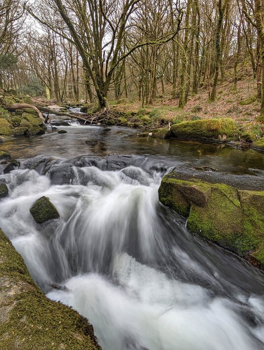 River Fowey at Golitha Falls