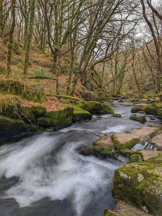 River Fowey at Golitha Falls