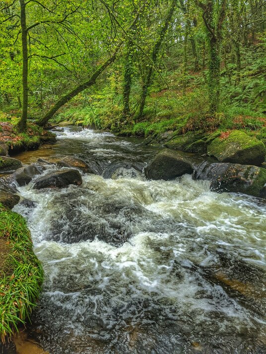 River Fowey at Golitha Falls