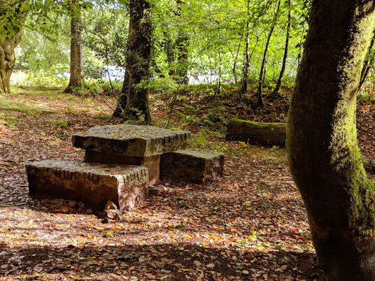 Picnic bench at Golitha Falls