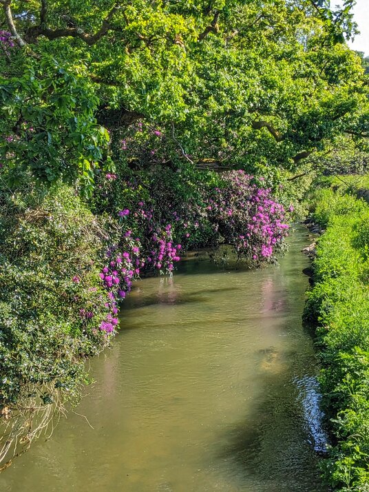 The River Fal at Grampound