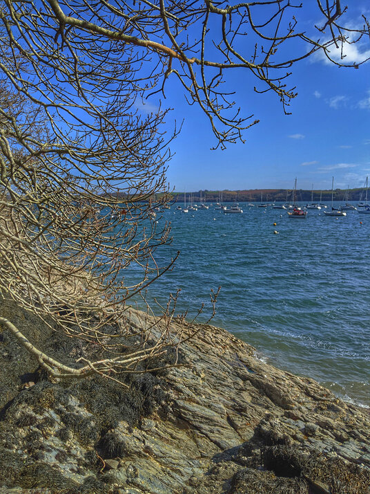 View from Greatwood Quay