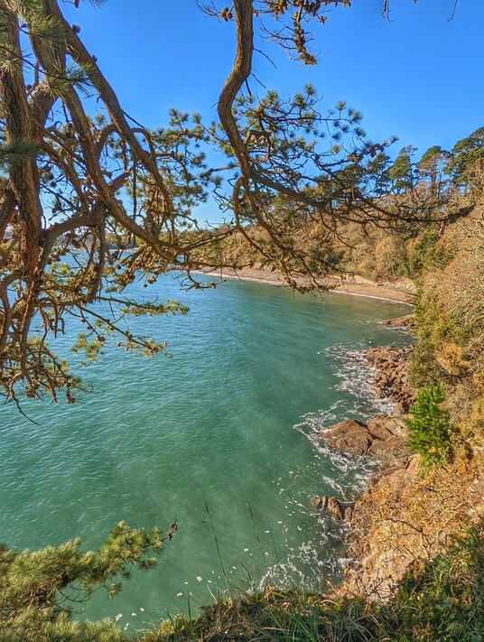 View over Grebe Beach