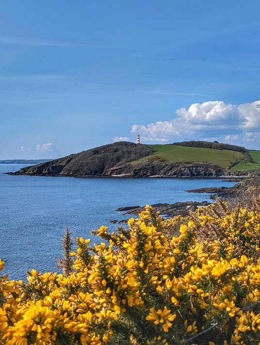 View along the coast to Gribbin Head