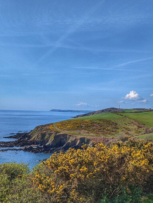 Coastline near Gribbin Head