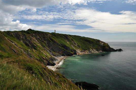 Gribbin Head