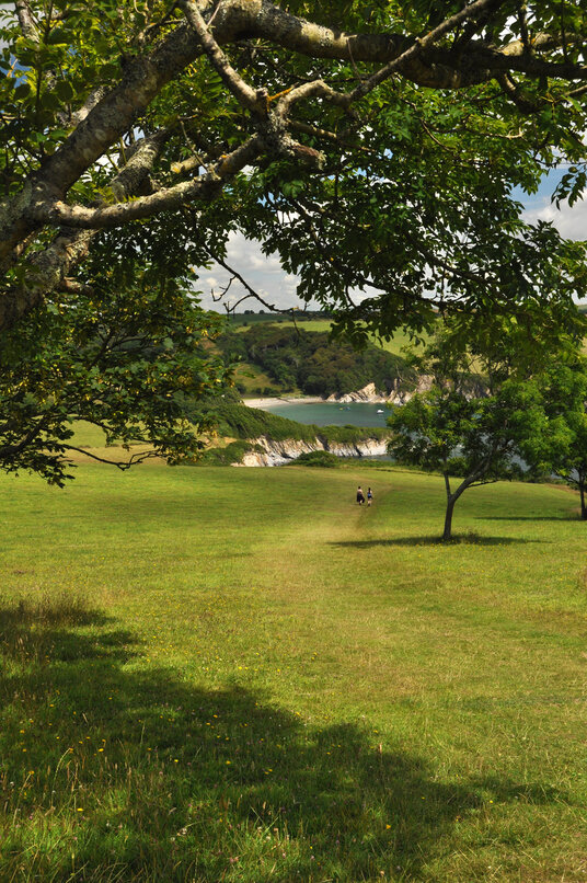 Meadow surrounding the daymark